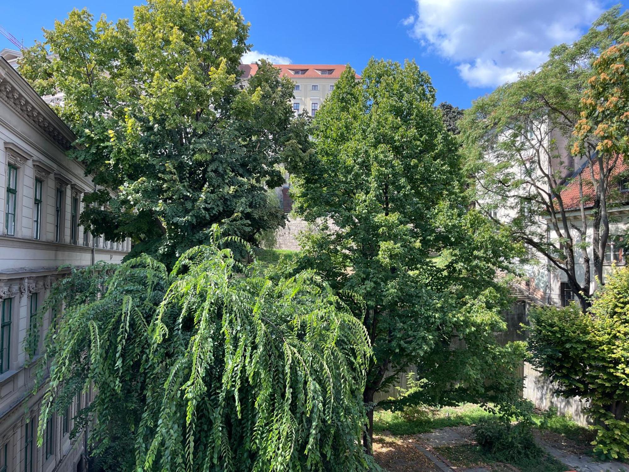 Sunny Studio At The Castle Budapest Exteriör bild